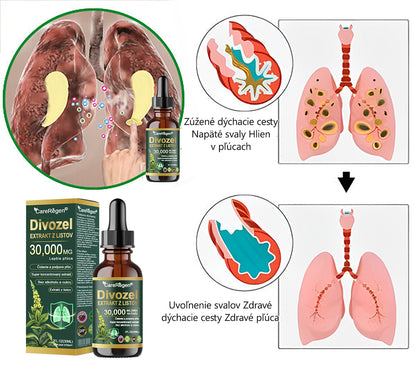 𝗢𝗳𝗶𝗰𝗶𝗮𝗹𝗻ý 𝗼𝗯𝗰𝗵𝗼𝗱: 𝗖𝗮𝗿𝗲𝗥𝗲𝗴𝗲𝗻® Organické kvapky na čistenie pľúc z listov divozelu 🎖️ Klinicky overená, vysoko koncentrovaná formula, ktorá uľavuje od kašľa, hlienu, astmy a CHOCHP — dýchajte ľahšie a rýchlejšie. 🎖️