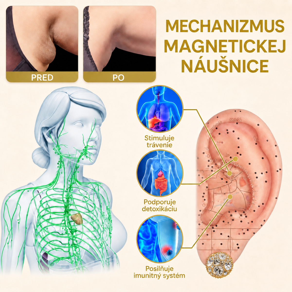 Magnetické náušnice TIMNAMY® z moissanitu na podporu lymfatickej starostlivosti: rýchle výsledky, bez potreby prepichovania uší. Špeciálna ponuka na posledný deň: 50 % zľava 💝💘1